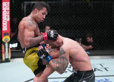 UFC Fight Night: Silva v Ronson