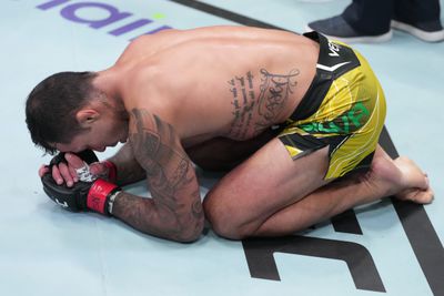UFC Fight Night: Silva v Ronson