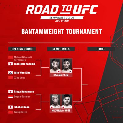 Road to UFC Brackets