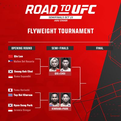 Road to UFC Brackets