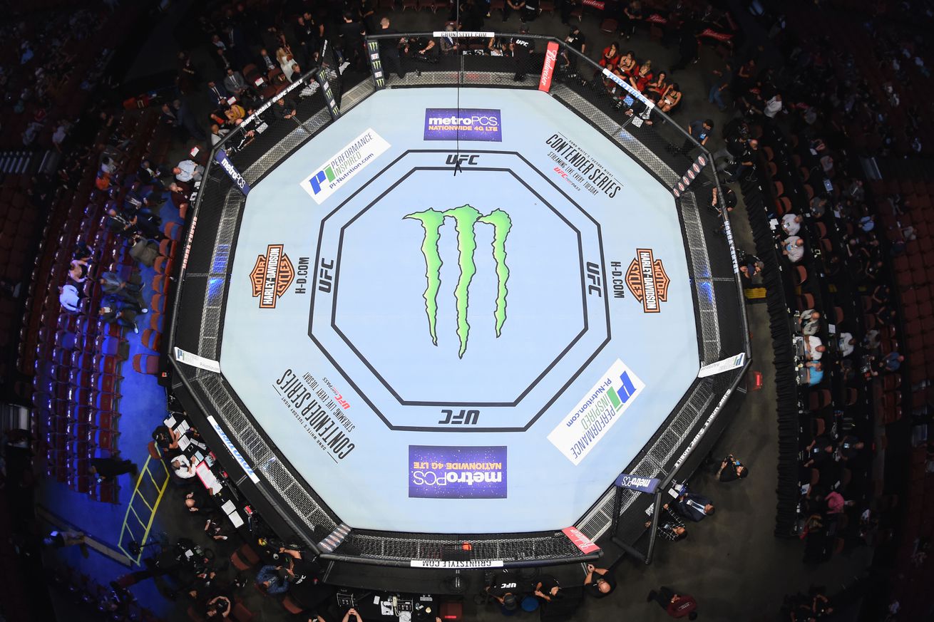 UFC Octogon