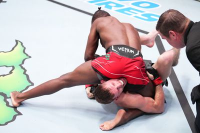 UFC Fight Night: Dvorak v Kape