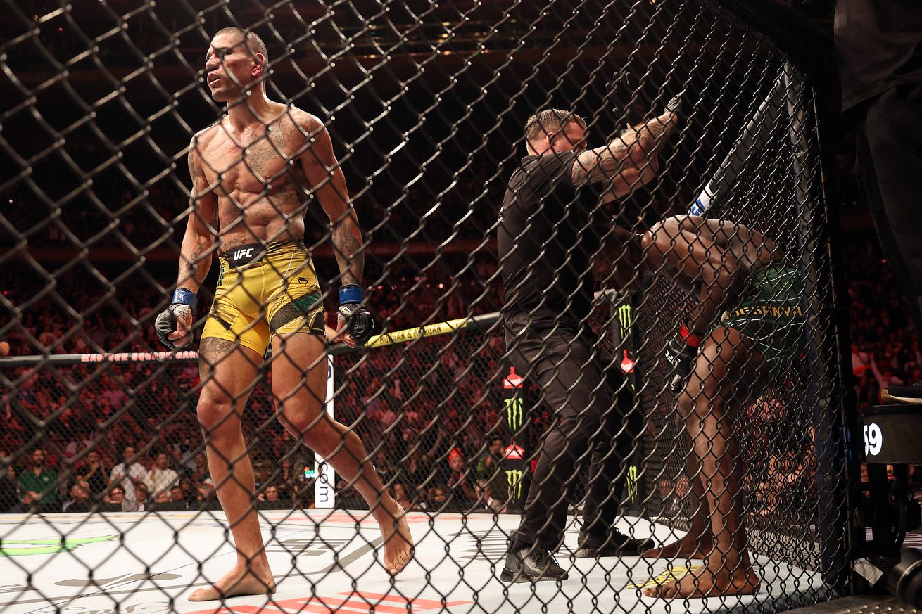 Referee Marc Goddard waves off Alex Pereira for the 5th round TKO win over Israel Adesanya at UFC 281.