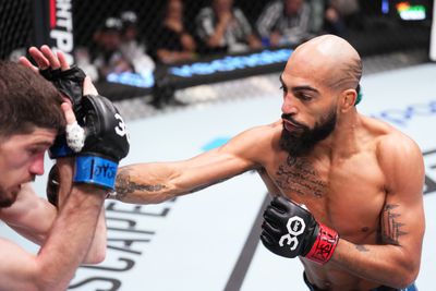 UFC Fight Night: Johnson v Flick