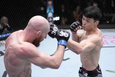 UFC Fight Night: Choi v Nelson