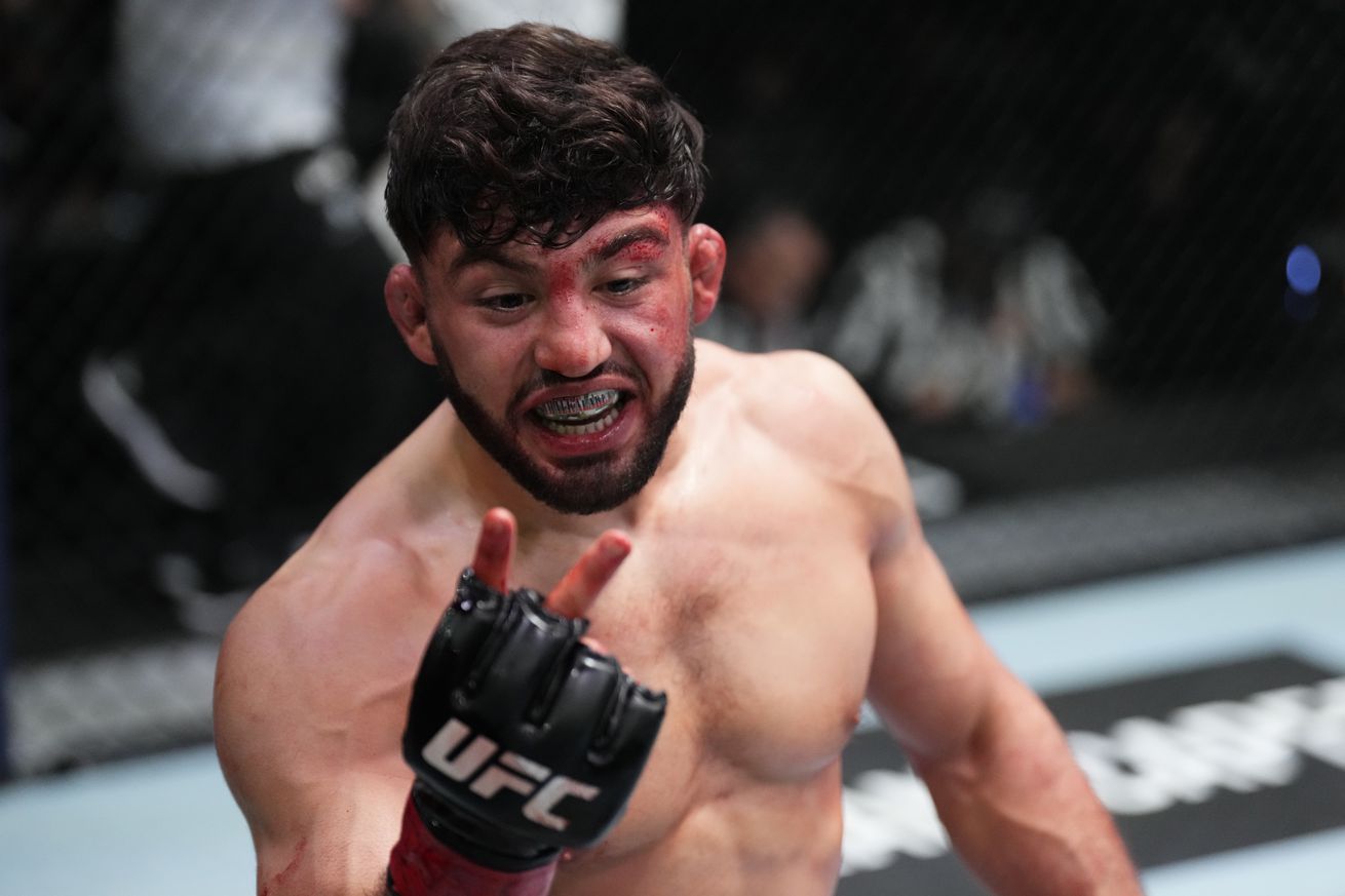 UFC Fight Night: Tsarukyan v Alvarez