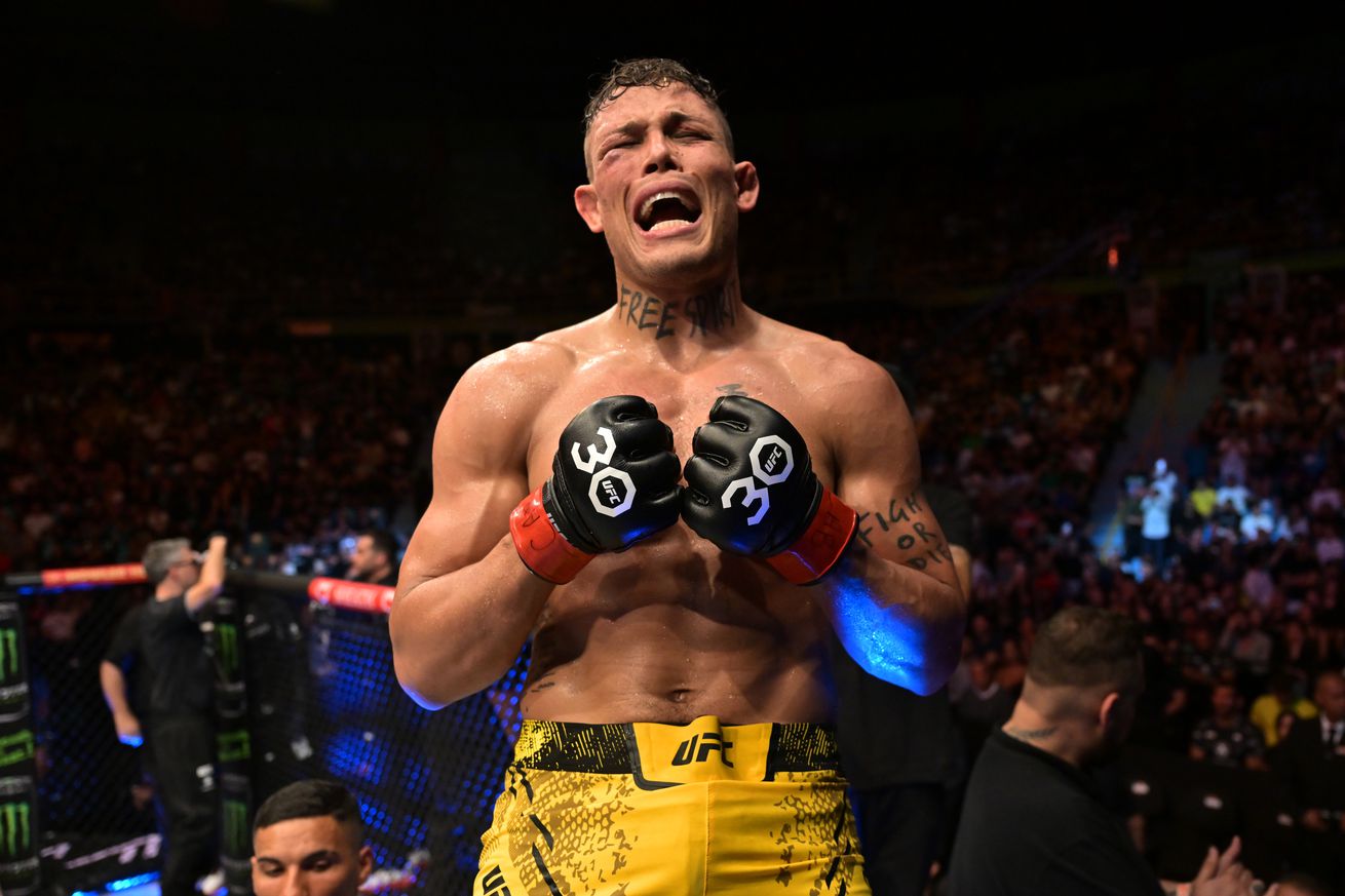 UFC Fight Night: Borralho v Magomedov