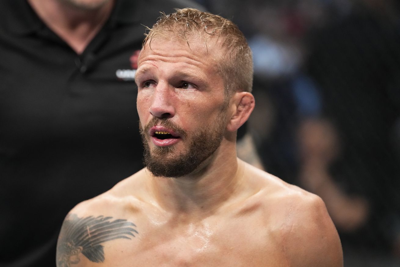 UFC 280: Sterling v Dillashaw