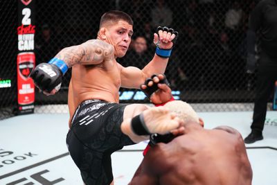 UFC Fight Night: Hawes v Ferreira