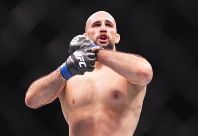 UFC Fight Night: Walker v Oezdemir