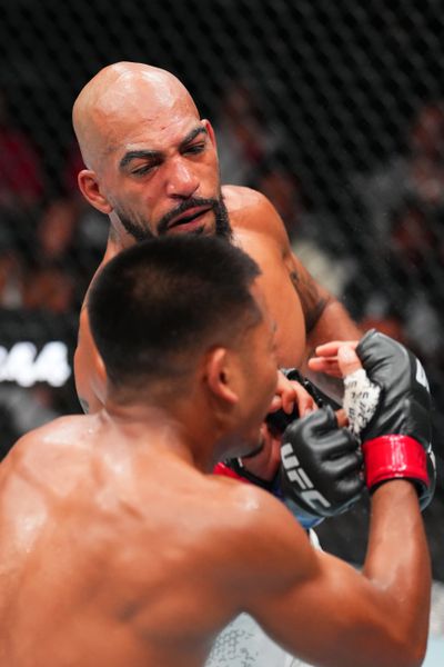 UFC Fight Night: Van v Johnson