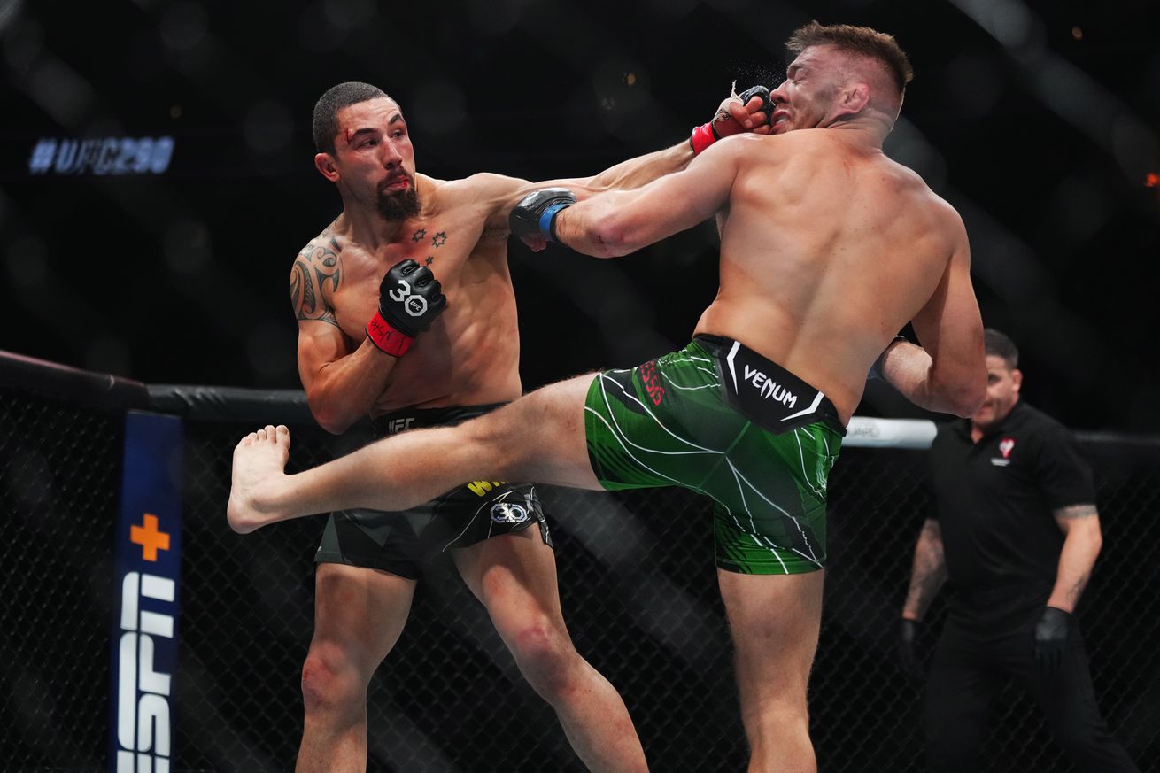UFC 290: Whittaker v Du Plessis