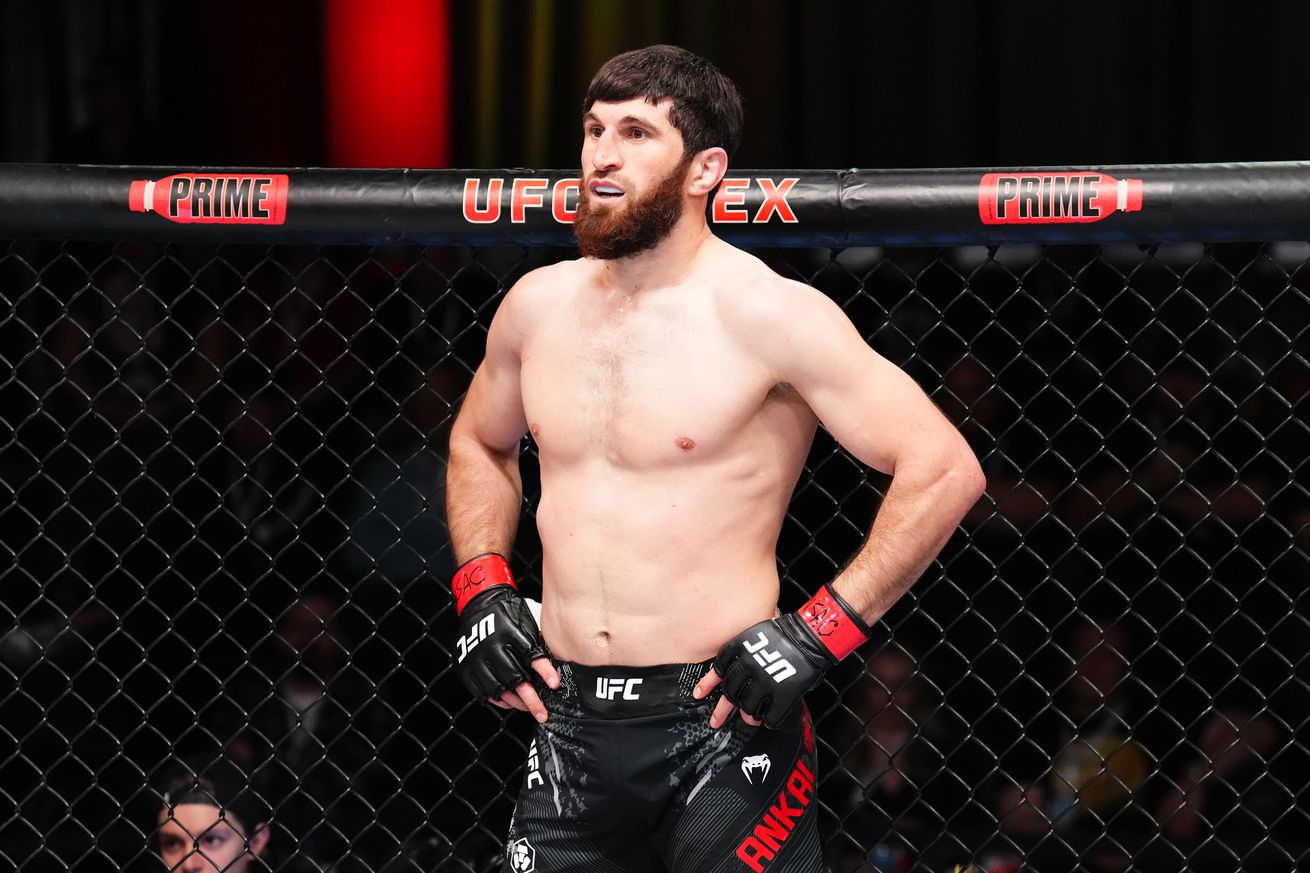 UFC Fight Night: Ankalaev v Walker 2