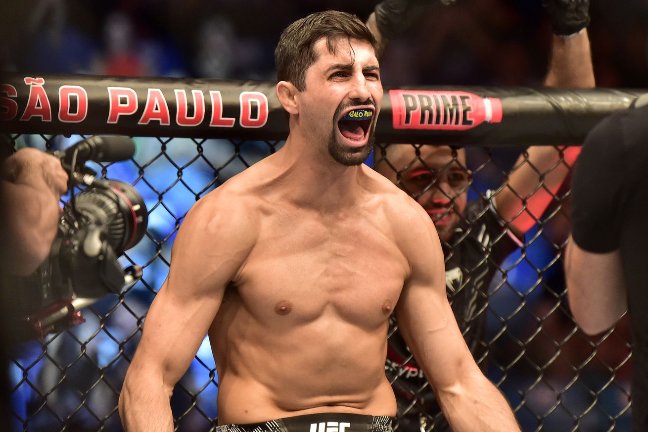 MMA: UFC Fight Night - Sao Paulo-Fernandes vs Diakiese