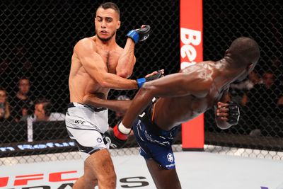 UFC Fight Night: Gomis v Ghemmouri
