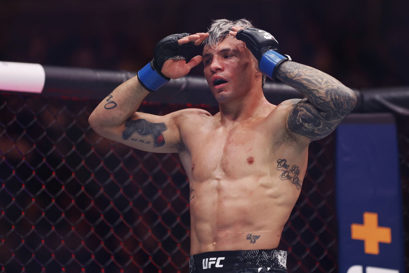 UFC 295: Erceg v Costa