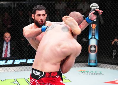 UFC Fight Night: Dolidze v Imavov
