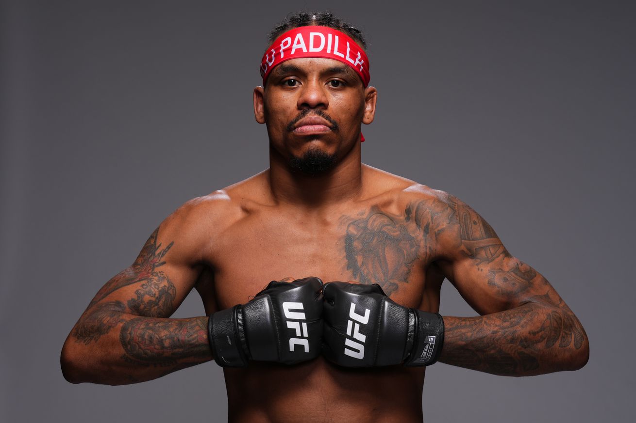 UFC Fighter Portraits - 2024