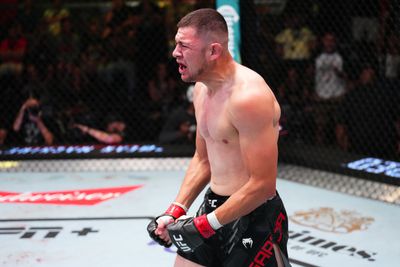 UFC Fight Night: Garcia v Nelson