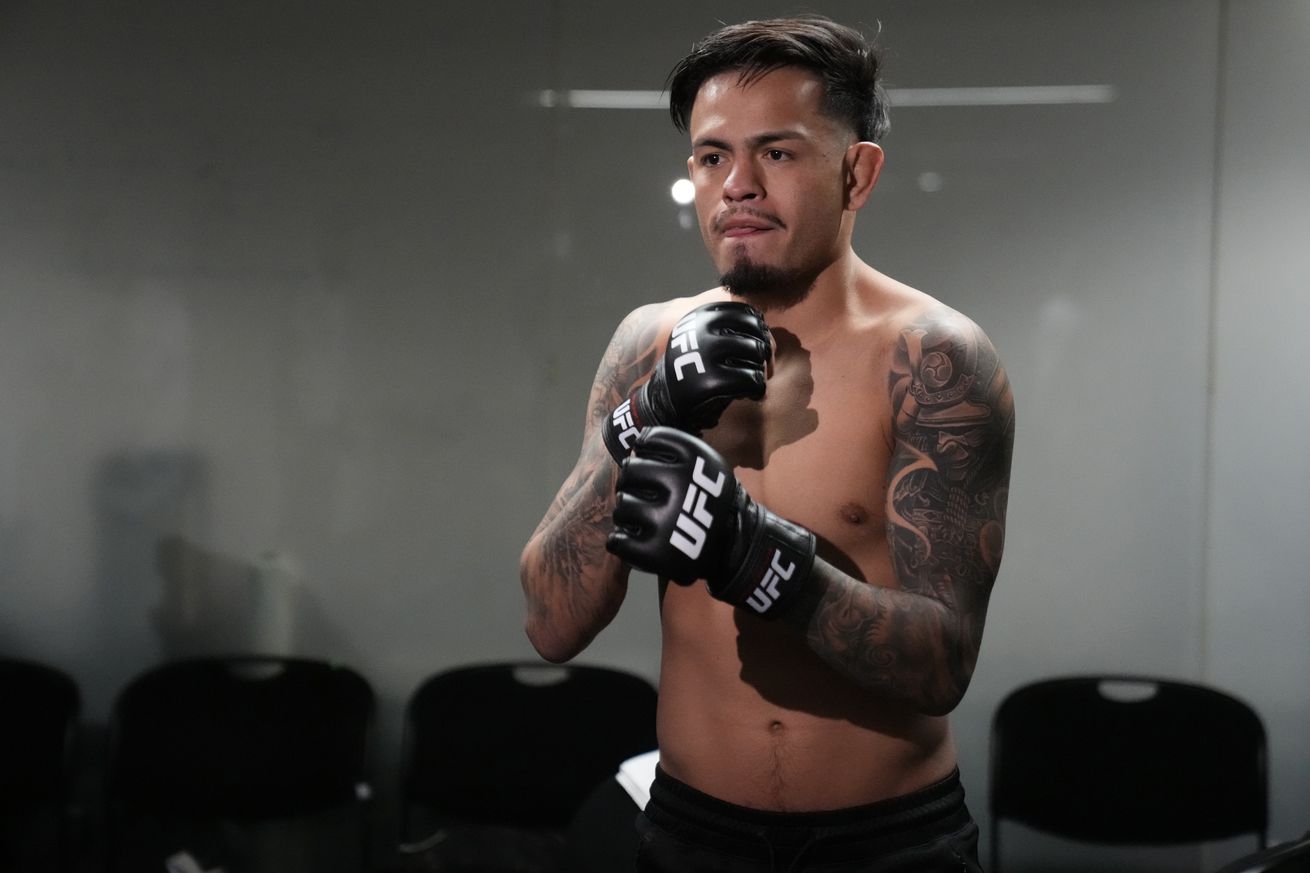 UFC Fight Night: Moreno vs Royval 2