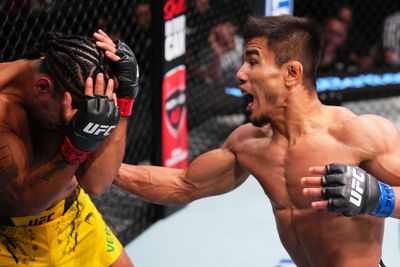 UFC Fight Night: Vergara v Temirov