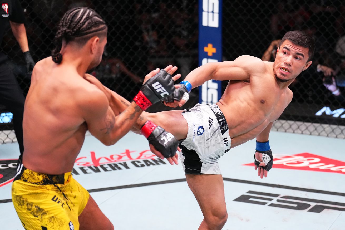 UFC Fight Night: Vergara v Temirov